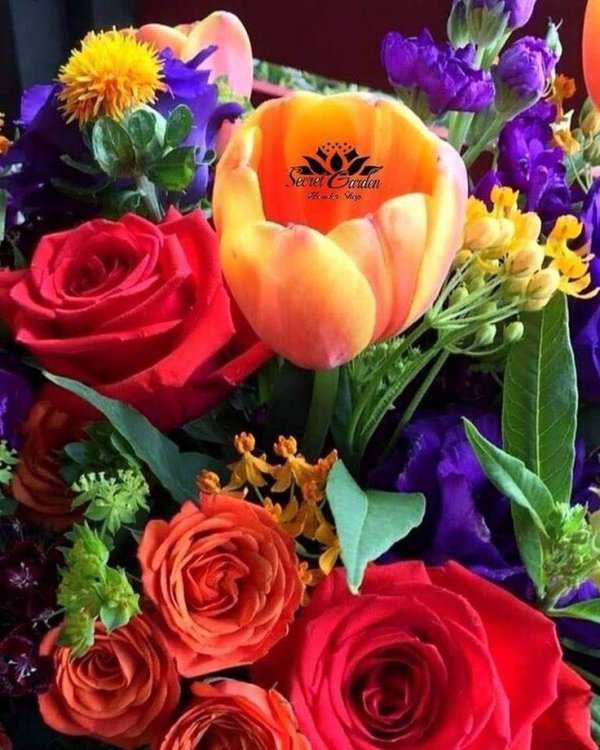 фотографии цветов красивые