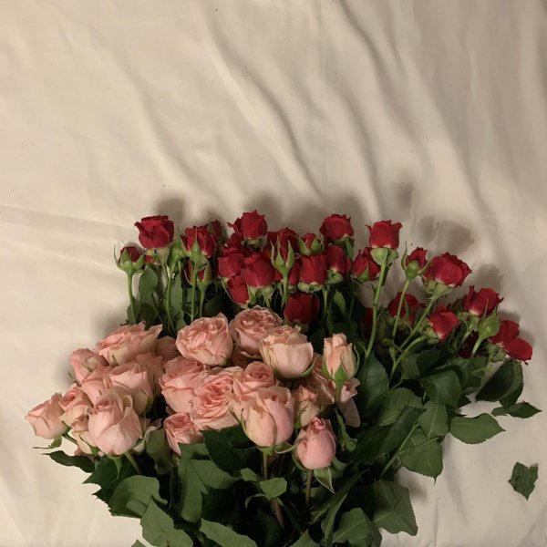 букеты эстетика