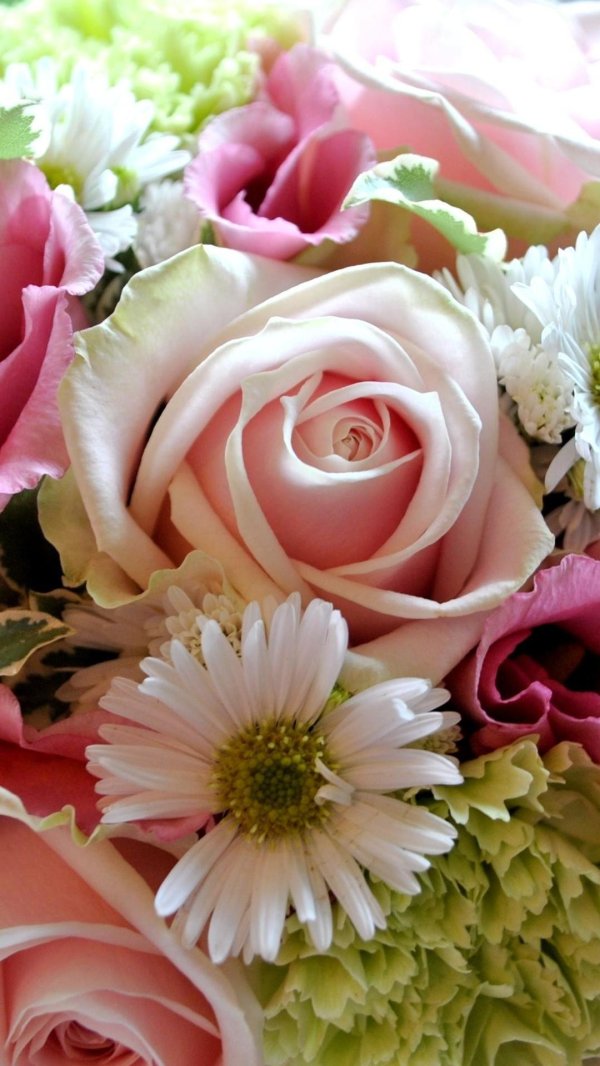 букет цветов шикарный