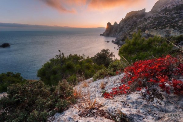 крымский полуостров севастополь фиолент