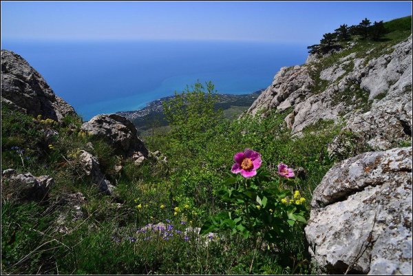 крымская горная