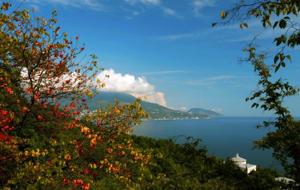 гурзуф медведь гора кипарисы