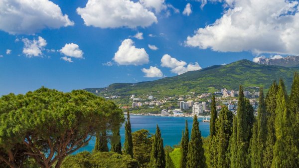 парк ливадийский парк ялта