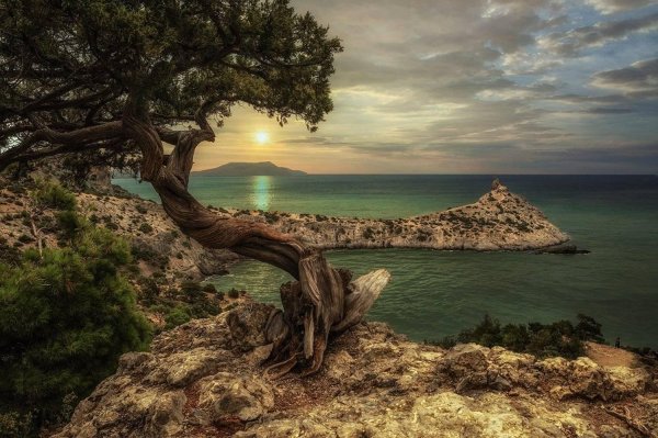 красивые пейзажи крыма