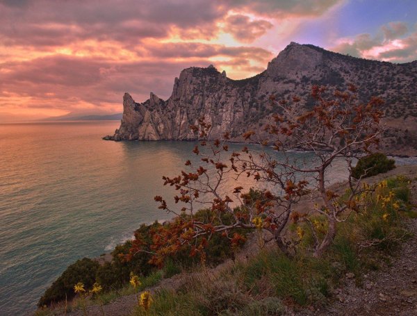 крымский полуостров природа ялта