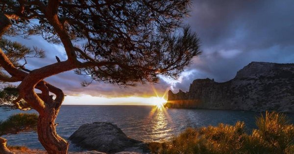 новый свет в крыму