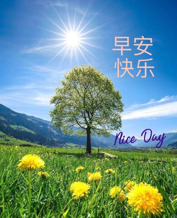 falun dafa