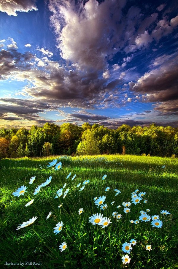 летние пейзажи