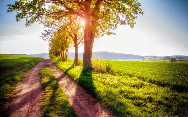 солнечные пейзажи