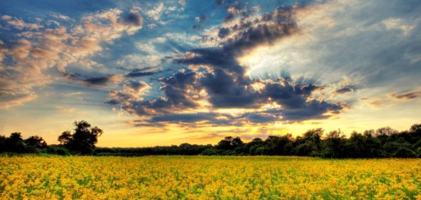 теплое лето