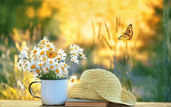 доброе лето