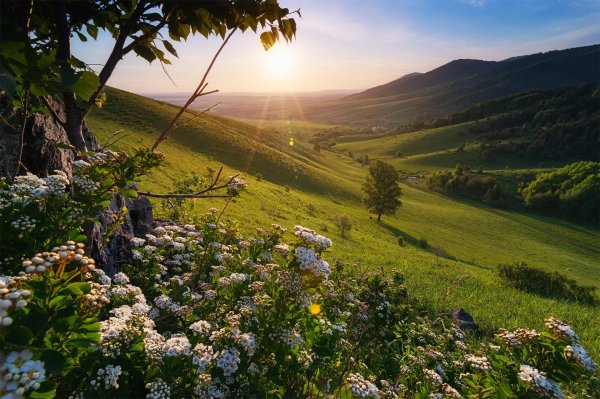 гора белокуриха алтайский