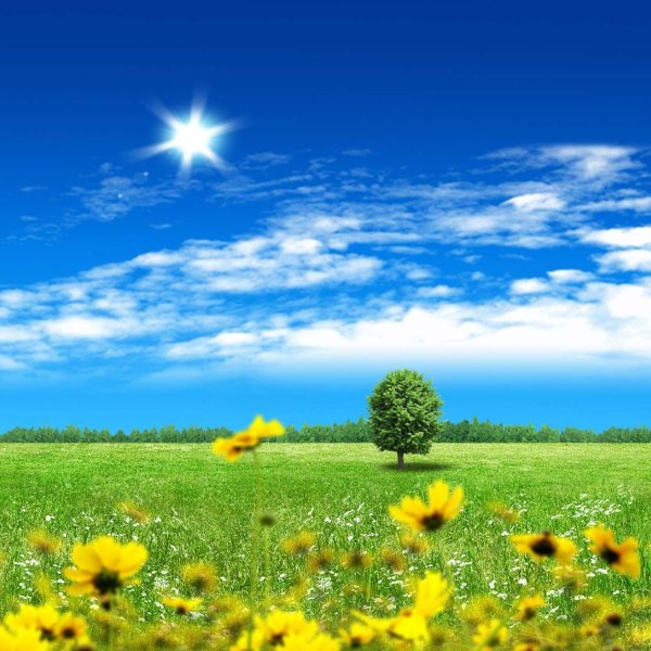 солнечное небо