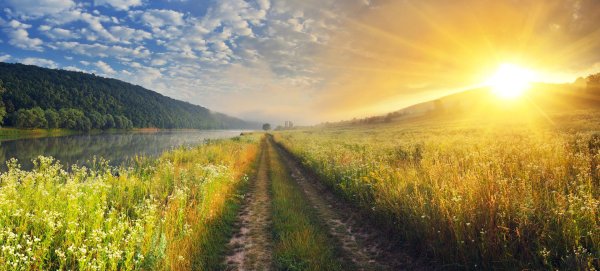 дорога рассвет