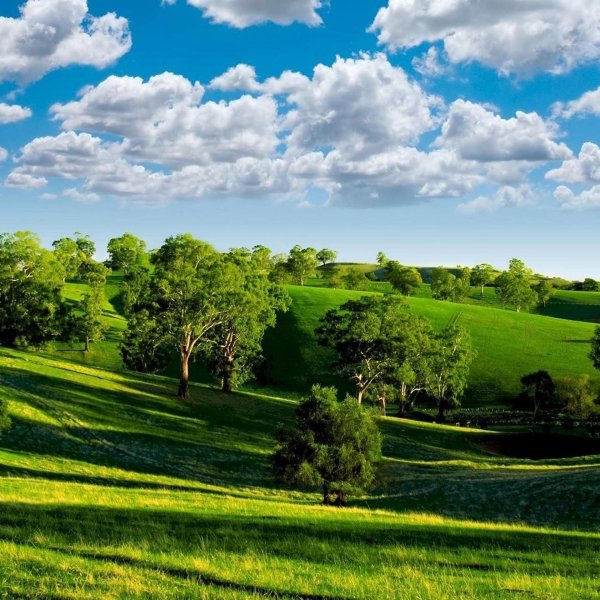 летние пейзажи