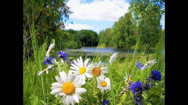 прощай июль здравствуй август