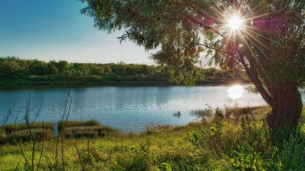 летние пейзажи