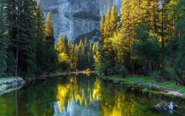 озеро чиф калифорния