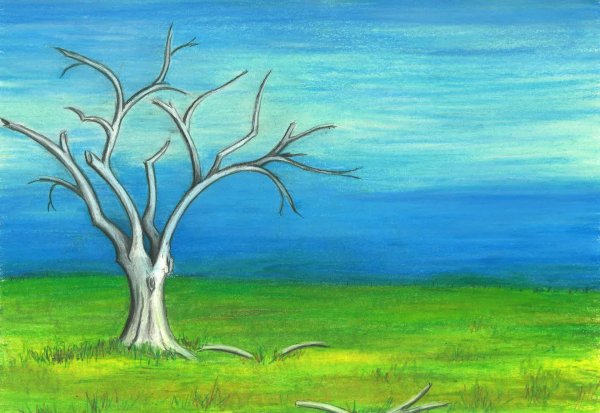 дерево пастелью