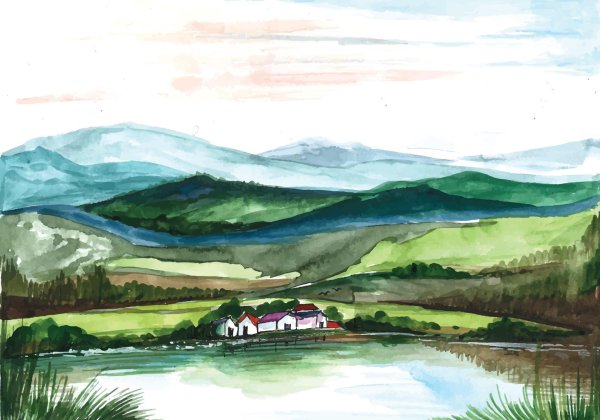 шон хиллен художник ирландия