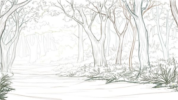 лес карандашом