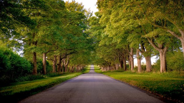 Природа дорога