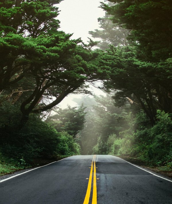 Природа дорога