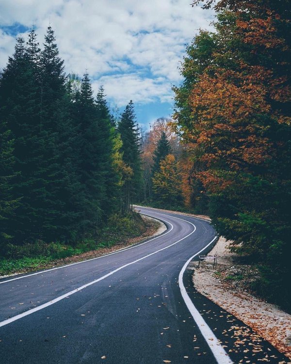 Природа дорога