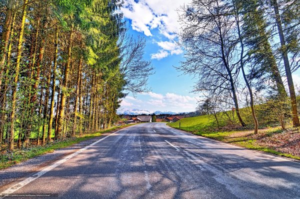 Природа дорога