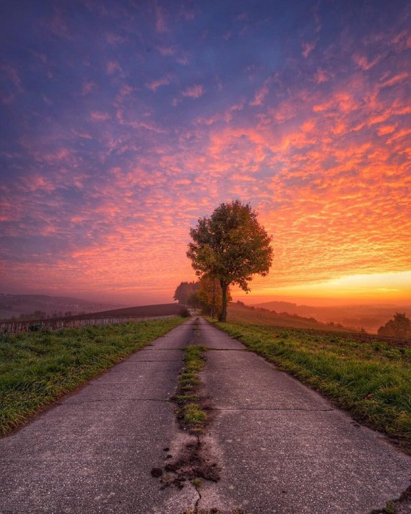 Природа дорога