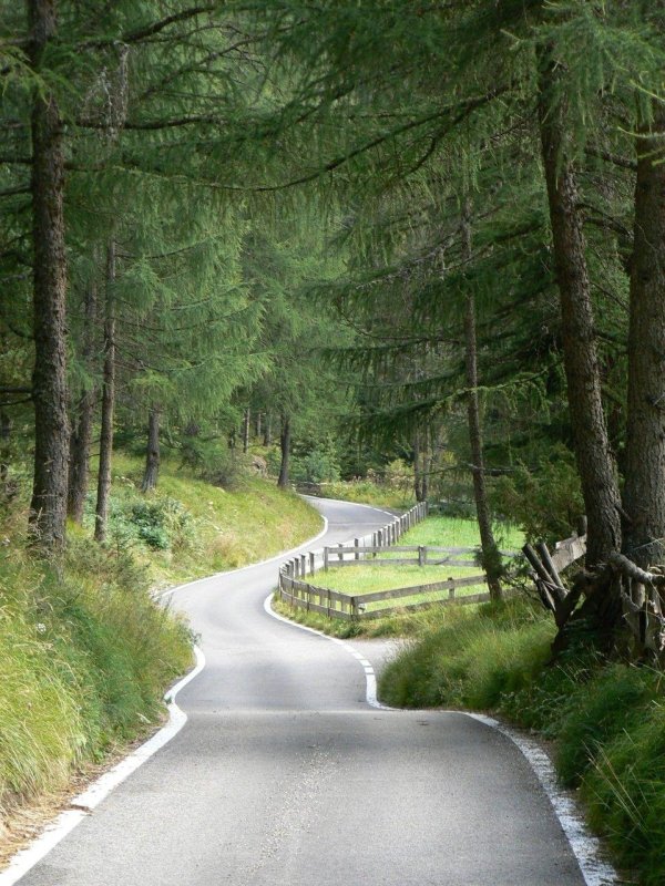 Природа дорога