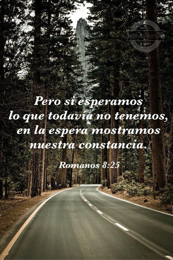 Природа дорога