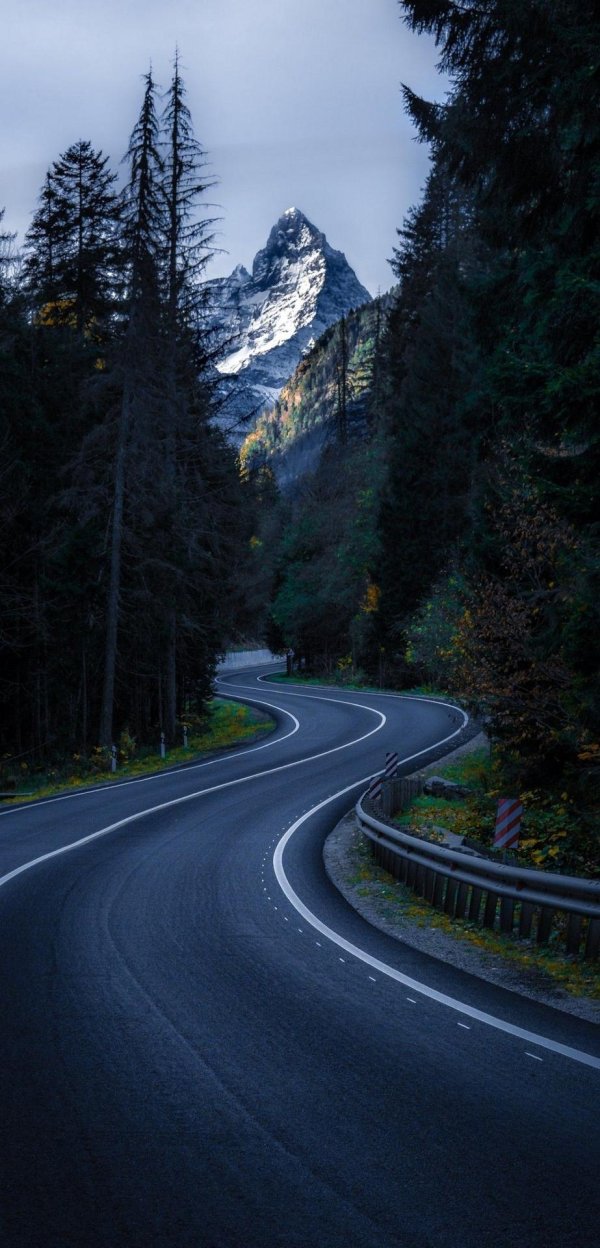 Природа дорога