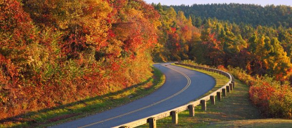 Природа дорога