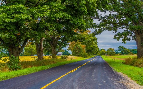 Природа дорога