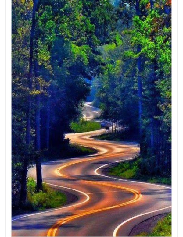 Природа дорога