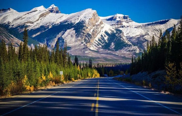 Природа дорога