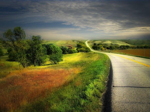 Природа дорога