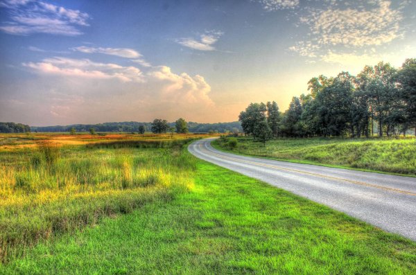 Природа дорога