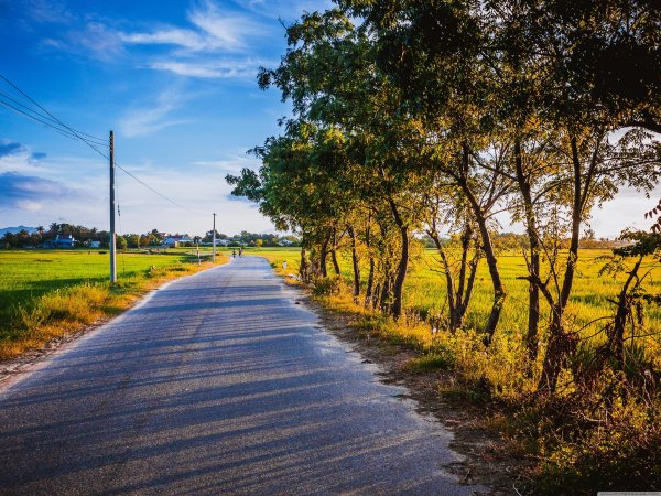 Природа дорога