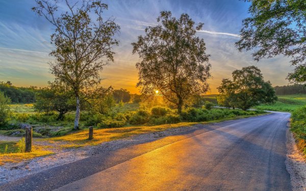 Природа дорога