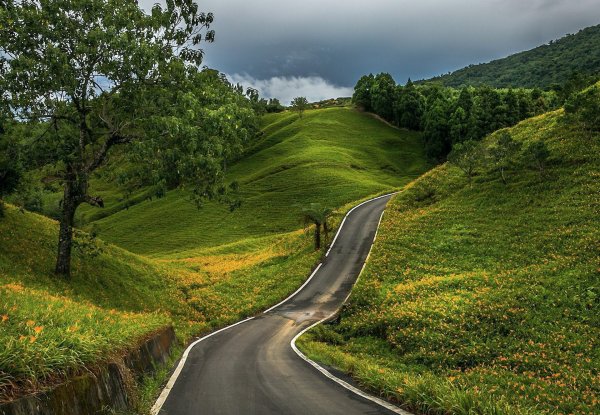 Природа дорога