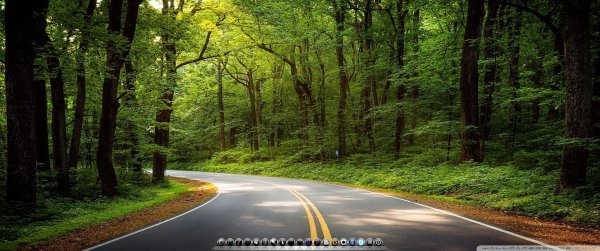 Природа дорога