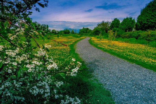 Природа дорога