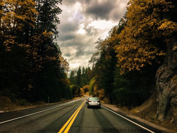 Природа дорога