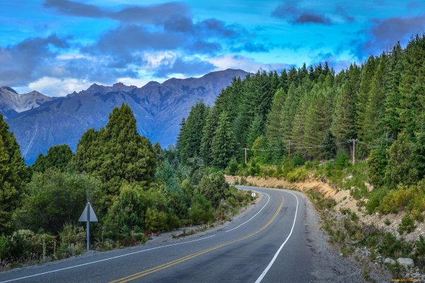 Природа дорога