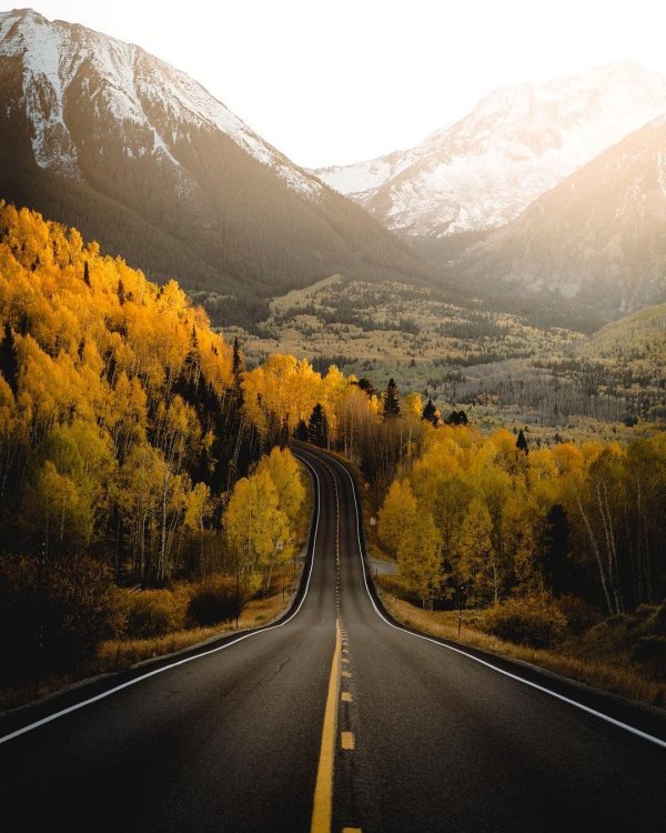 Природа дорога