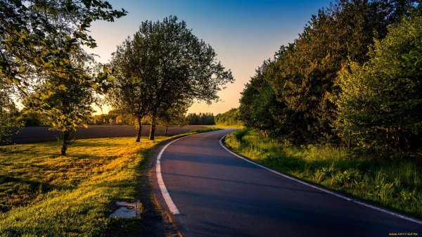 Природа дорога