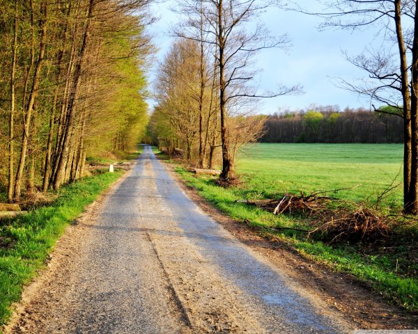 Природа дорога