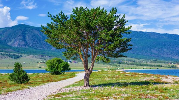 бурятия природа